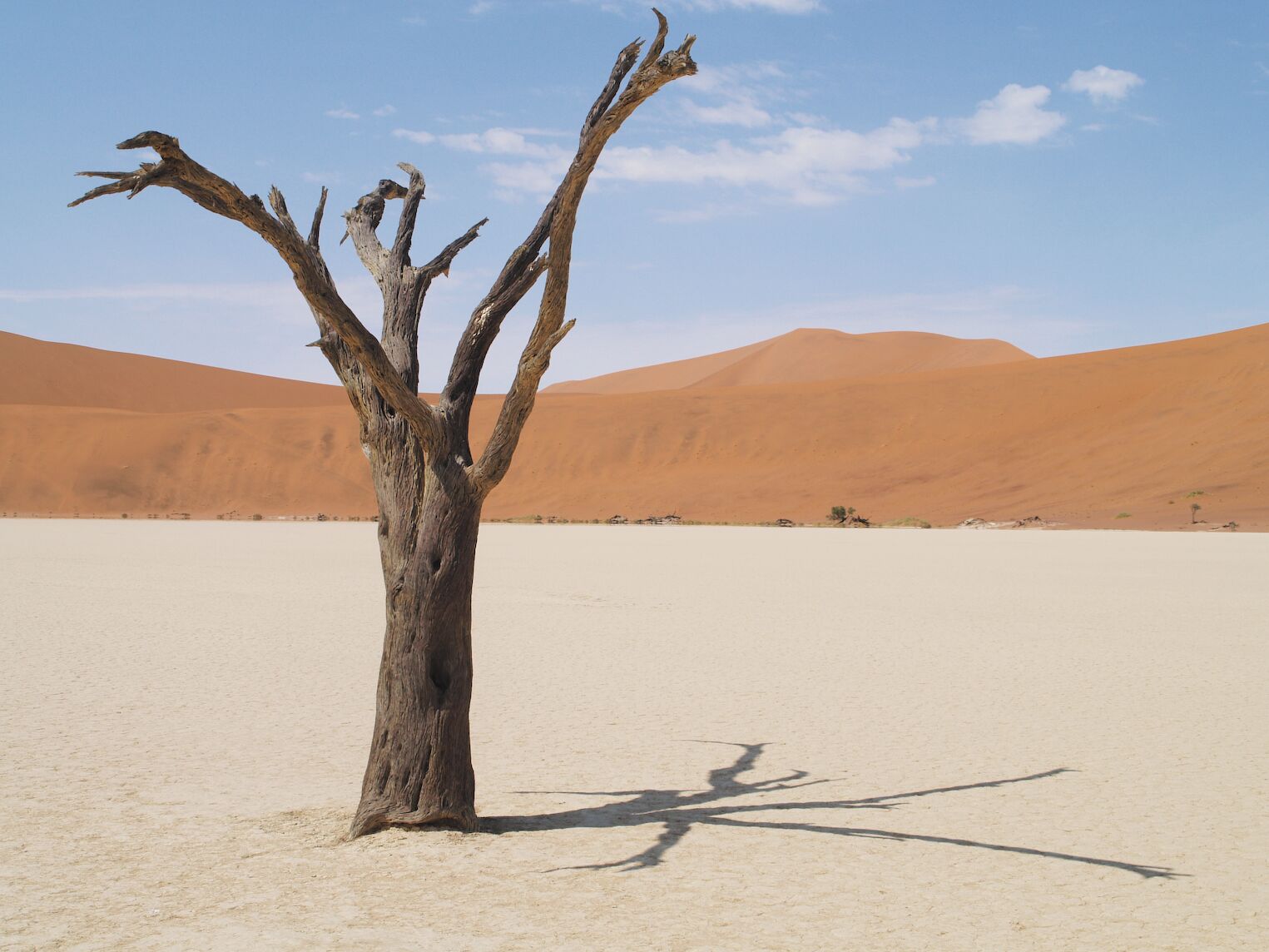 Paysage dans le désert du Namib