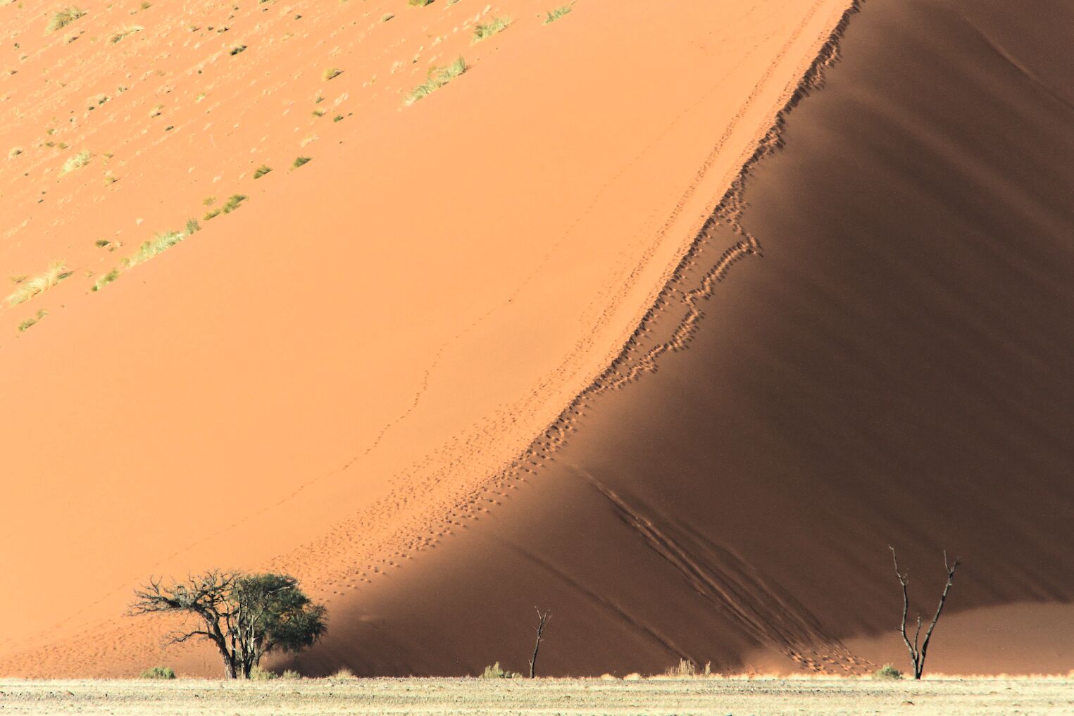 Les dunes de Sossusvlei