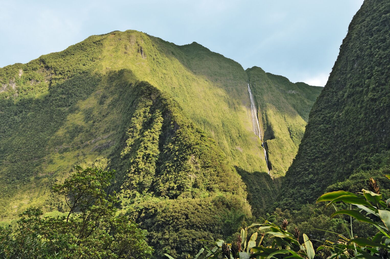 Dans le cirque de Salazie, dans le parc national de La Réunion 
parcs nationaux france