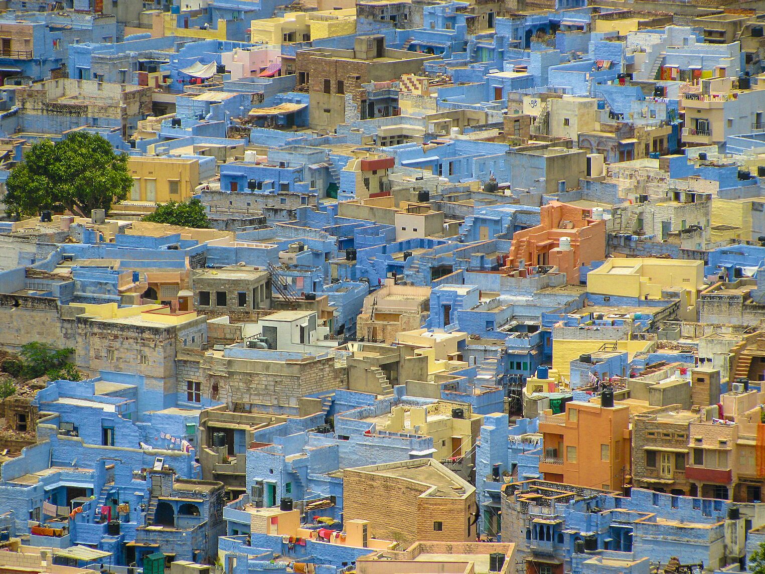 Jodhpur et ses maisons bleues
