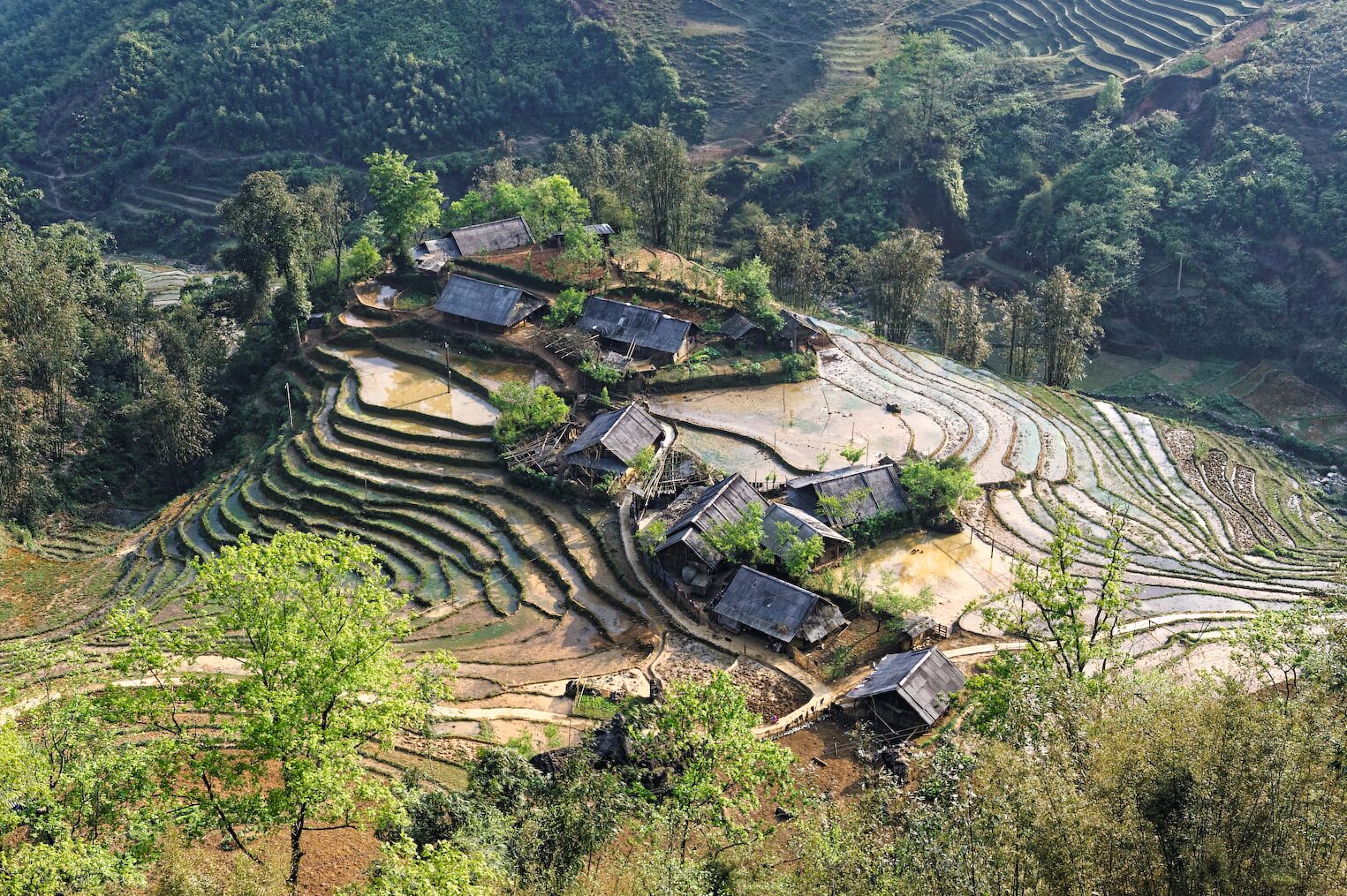 Village de la région du Tonkin, au coeur des rizières