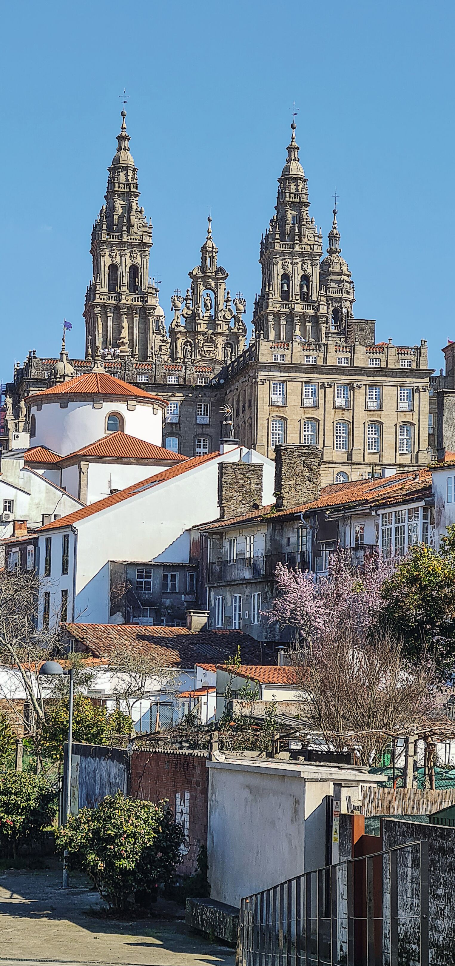 Vue sur la cathédrale St Jacques de Compostelle