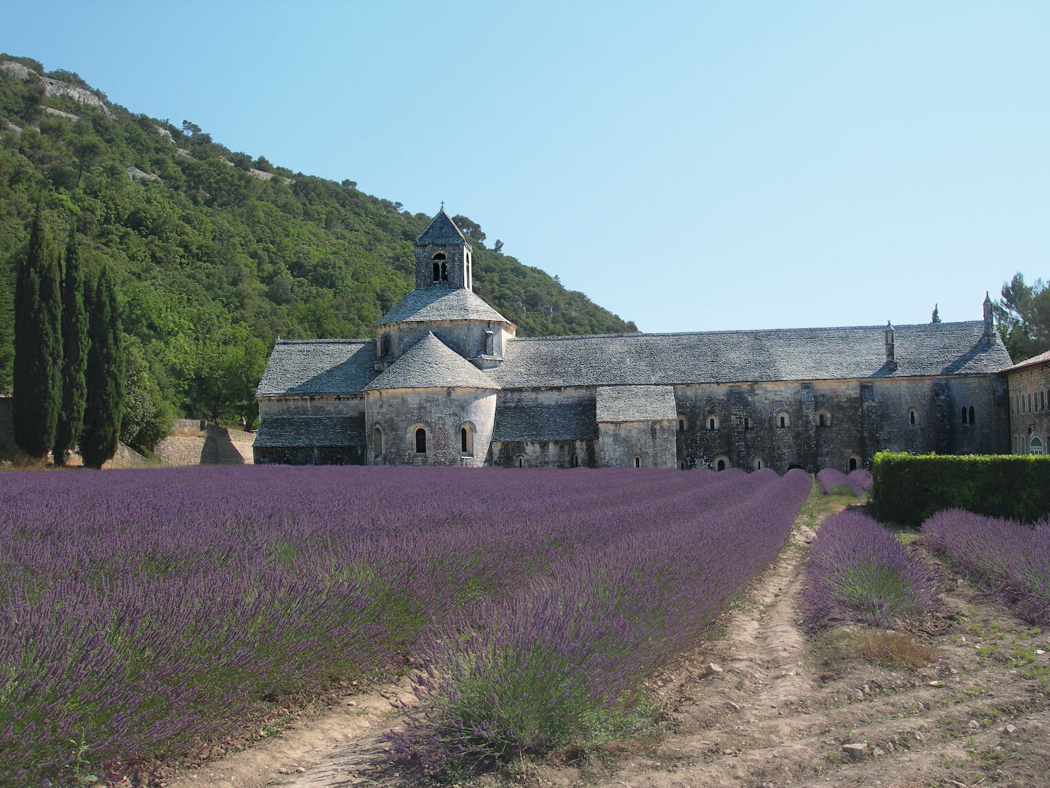 L'abbaye de Sénanque